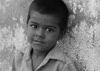 引人入胜的免费ddos攻击网页端