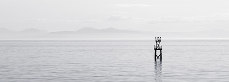 怎么去攻击一个网站与防护