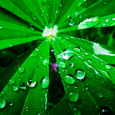 渠道价格批发的DDOS网页端源码