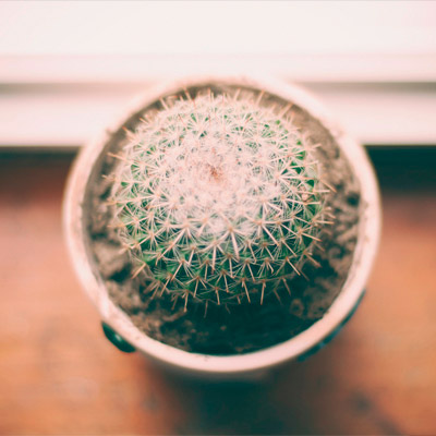 在线DDOS平台攻击