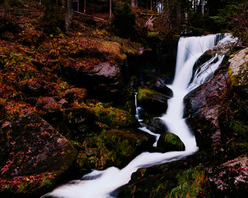 cc攻击免费网页版
